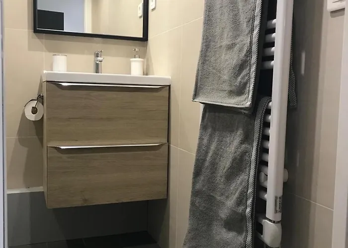 Superbe Avec Mezzanine Au Centre De דירה